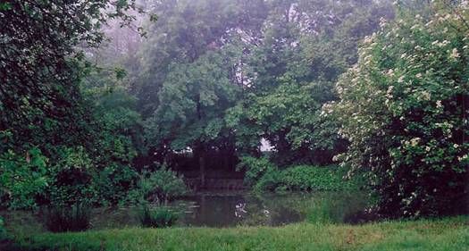 "Notti stregate" a Borgolavezzaro con l'Associazione Culturale Burchvif "Notti stregate" a Borgolavezzaro con l'Associazione Culturale Burchvif