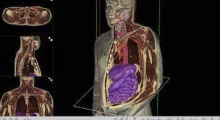 L'Università del Piemonte Orientale abbraccia l'innovazione con il portale didattico sectra L'Università del Piemonte Orientale abbraccia l'innovazione con il portale didattico sectra