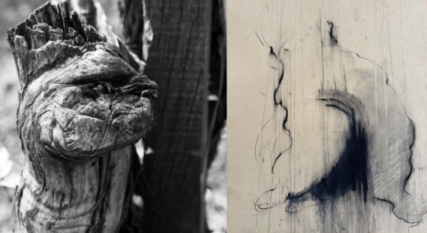 “Pareidolia” a Villa Picchetta: arte e natura in mostra tra volti e forme immaginate “Pareidolia” a Villa Picchetta: arte e natura in mostra tra volti e forme immaginate