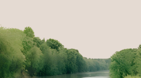 Giornata di campionamento ecologico al Bosco Est Sesia di Agognate Giornata di campionamento ecologico al Bosco Est Sesia di Agognate