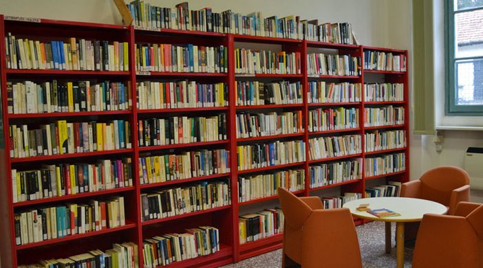 A Lesa la conferenza &quot;La vitamina D e la vitamina K2: le vitamine dei cent'anni&quot;