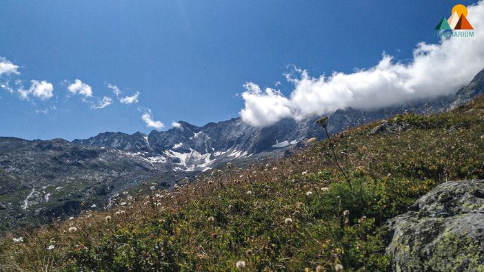 Il Rifugio Andolla: l'ex baita per le vacanze dei dipendenti Edison Il Rifugio Andolla: l'ex baita per le vacanze dei dipendenti Edison