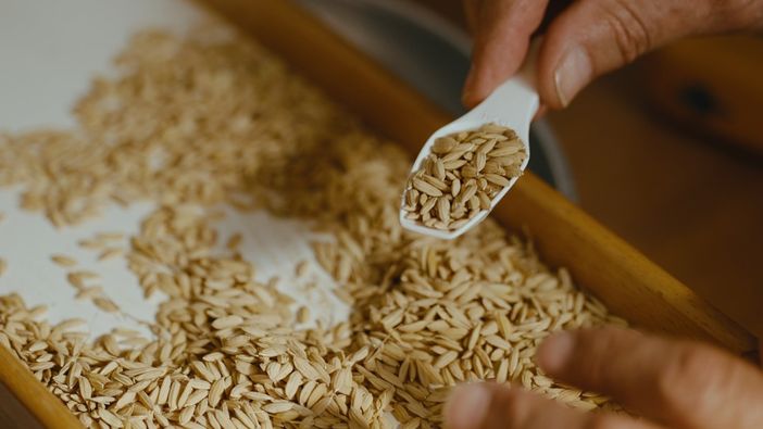 Crisi del riso, Confcooperative Piemonte: “Risaie asciutte, prezzi dimezzati e costi insostenibili. Il settore è al collasso” Crisi del riso, Confcooperative Piemonte: “Risaie asciutte, prezzi dimezzati e costi insostenibili. Il settore è al collasso”