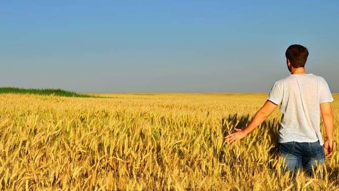Un bando della Regione a sostegno dei giovani agricoltori piemontesi Un bando della Regione a sostegno dei giovani agricoltori piemontesi