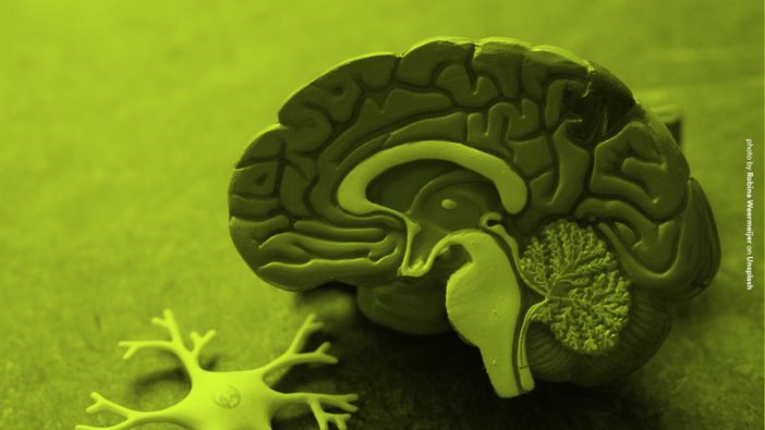 Cervello e dintorni: Alla scoperta dei segreti per una mente sana Cervello e dintorni: Alla scoperta dei segreti per una mente sana