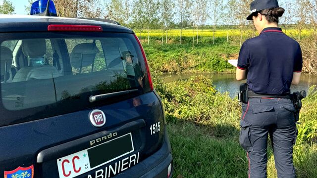 Multa di 3mila euro per pioppeto abusivo sulle rive dell'Agogna