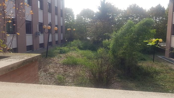 “Un gol nel tuo cuore”: la solidarieta’ scende ancora una volta in campo “Un gol nel tuo cuore”: la solidarieta’ scende ancora una volta in campo