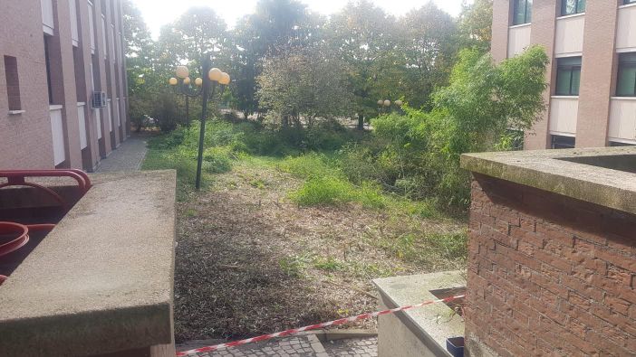 Dalla Mia Riva Festival. Uno sguardo dentro di me