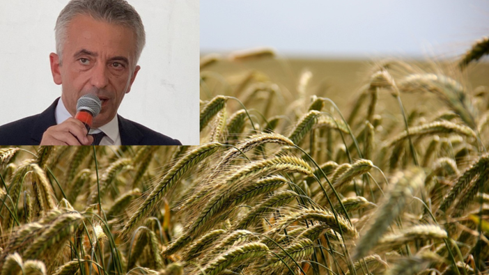 Sviluppo rurale: 20 milioni di euro per le aziende agricole piemontesi Sviluppo rurale: 20 milioni di euro per le aziende agricole piemontesi