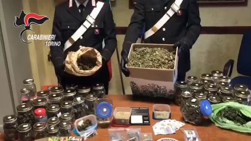 Notizie dal Piemonte. Vigone, la famiglia coltiva droga e il figlio minorenne fa il “fattorino” in bicicletta