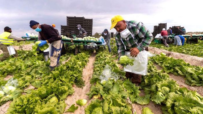 "Il Piemonte può essere modello contro lo sfruttamento lavorativo”