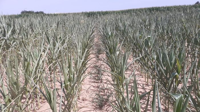 Siccità: semplificare per velocizzare gli interventi idrici sul Pnrr Siccità: semplificare per velocizzare gli interventi idrici sul Pnrr