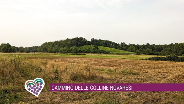 Sette domeniche tra colline, natura e racconti: al via il nuovo Cammina-tür
