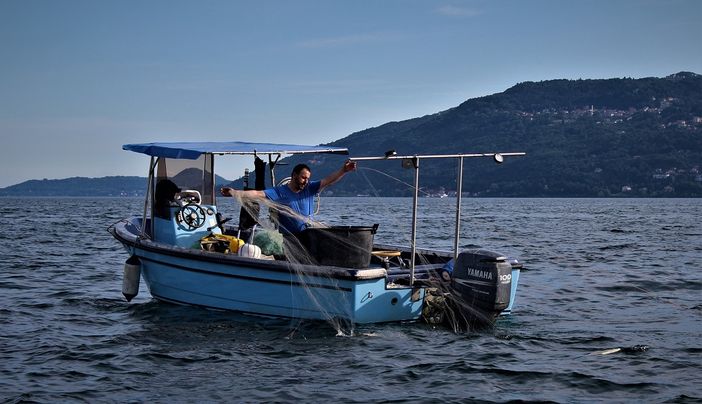 Da Lesa parte un progetto per rilanciare la pesca lacustre e valorizzare la filiera locale