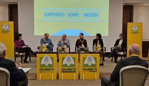 Coldiretti Piemonte: "È l’agricoltura a pagare la presenza dei selvatici sul territorio"