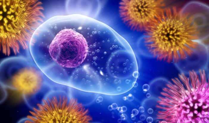 A Novara un progetto di ricerca senza precedenti sulle malattie autoimmuni A Novara un progetto di ricerca senza precedenti sulle malattie autoimmuni