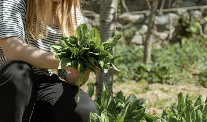 A Varallo Pombia torna la Festa dell’Agricoltura Biologica e Sociale: protagonisti natura, gusto e comunità