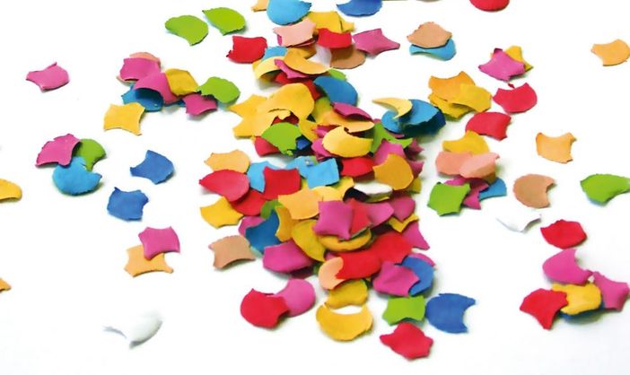 Carnevalgustoso di Fontaneto d'Agogna domenica 16 febbraio Carnevalgustoso di Fontaneto d'Agogna domenica 16 febbraio