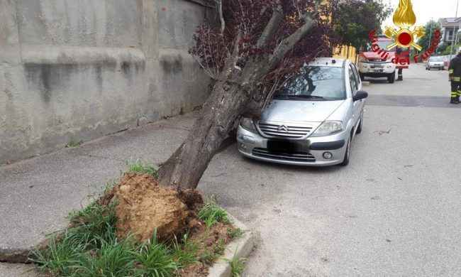 Maltempo: il vento forte di sabato ha causato la caduta di un albero in via Ansaldi nel quartiere Bicocca