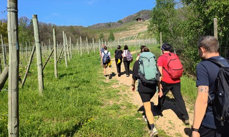 Un viaggio tra natura e tradizione: il cammino delle colline novaresi Un viaggio tra natura e tradizione: il cammino delle colline novaresi