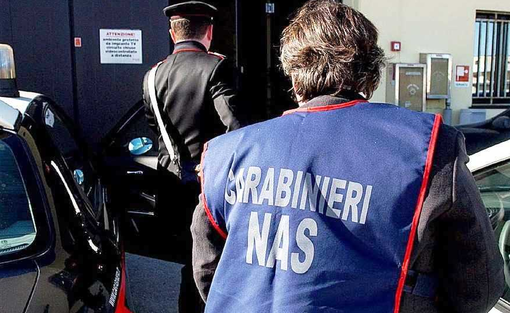 Maxi operazione antidoping: perquisizioni anche a Novara nell’inchiesta nazionale sui farmaci illeciti