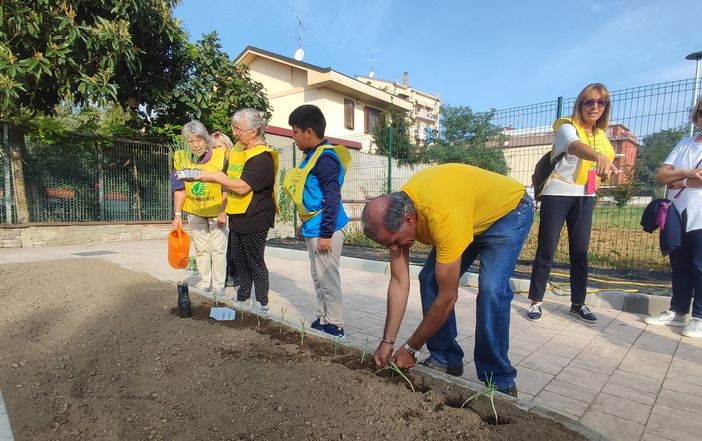 La King Baudouin Foundation sostiene il Parco di via Cefalonia con un contributo di 10.000 euro La King Baudouin Foundation sostiene il Parco di via Cefalonia con un contributo di 10.000 euro