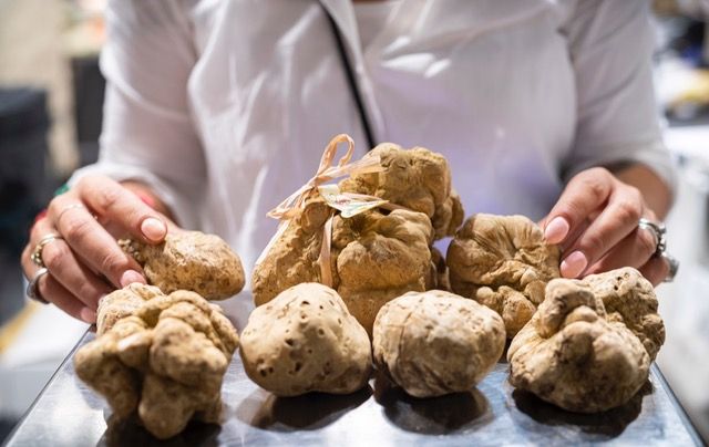 Il tartufo, nuova materia di studio all'Alberghiero in Piemonte