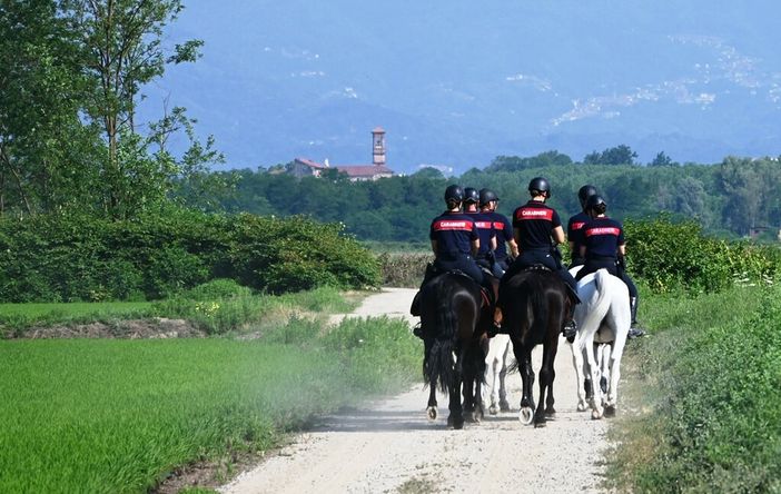 Maxi-servizio straordinario contro lo spaccio nei boschi biellesi, in azione anche i Carabinieri a cavallo FOTO e VIDEO