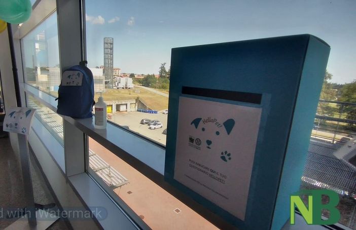 Via libera agli animali d'affezione in ospedale con il progetto Hello Pet! Via libera agli animali d'affezione in ospedale con il progetto Hello Pet!