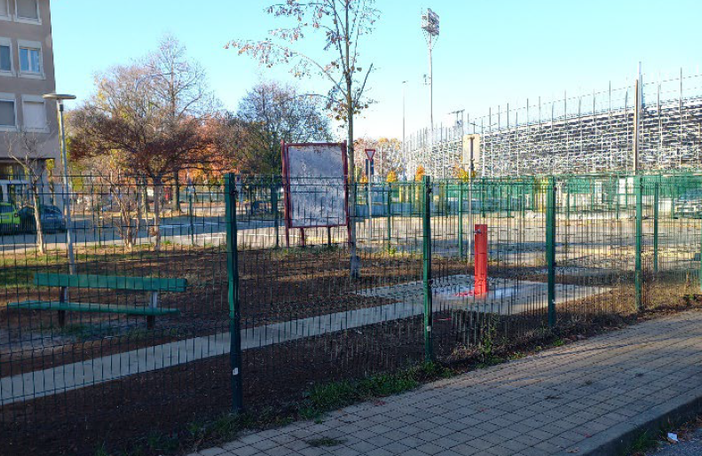 La Novara a quattro zampe: oltre 11.000 cani nel cuore della città La Novara a quattro zampe: oltre 11.000 cani nel cuore della città