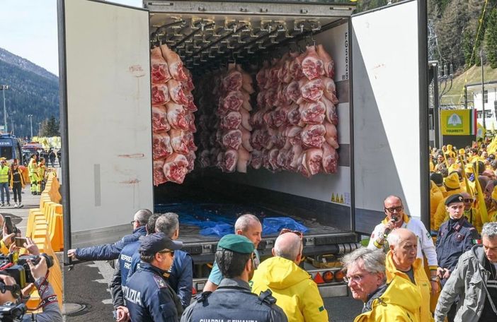 Coldiretti Novara-Vco: al Brennero scoperta uva indiana spedita a Novara Coldiretti Novara-Vco: al Brennero scoperta uva indiana spedita a Novara