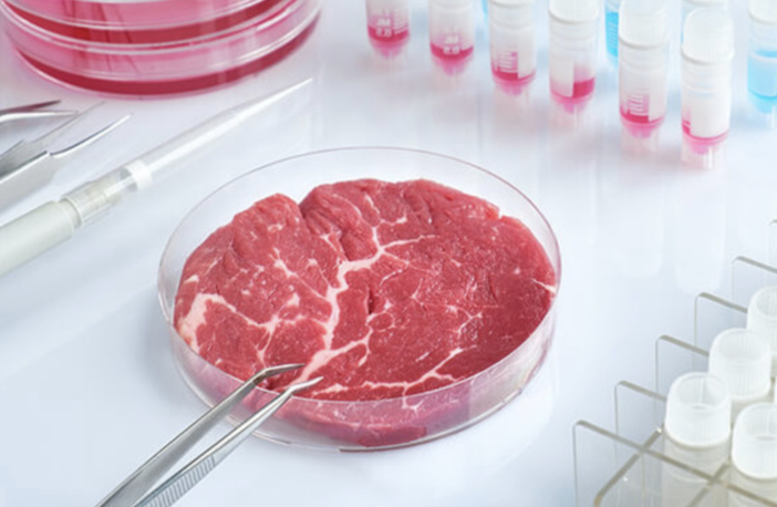 Coldiretti Novara-Vco: bene DDL contro cibo sintetico Coldiretti Novara-Vco: bene DDL contro cibo sintetico