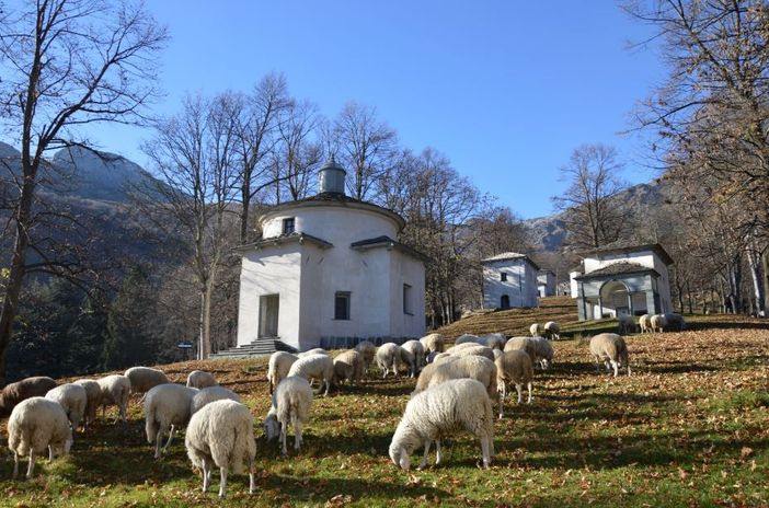 Escursioni, esce la guida “Il Devoto Cammino dei Sacri Monti” Escursioni, esce la guida “Il Devoto Cammino dei Sacri Monti”