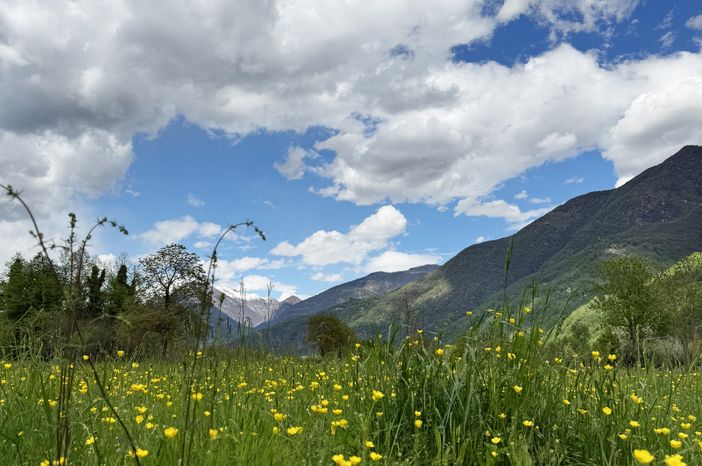 Le previsioni meteo per il fine settimana Le previsioni meteo per il fine settimana