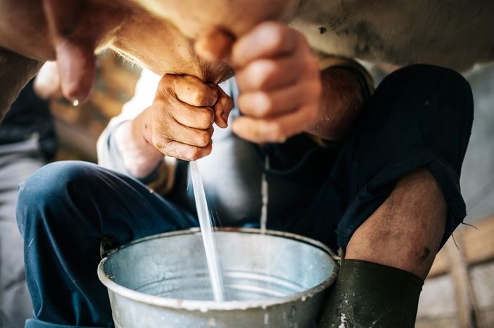 Tavolo del latte, le aziende agricole chiedono risposte urgenti Tavolo del latte, le aziende agricole chiedono risposte urgenti