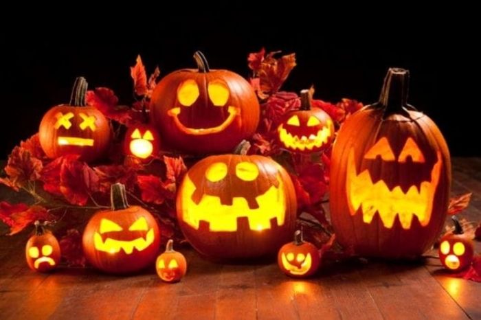 Torna a Novara il Mostro Raduno di Halloween: la città si prepara a una festa da brividi