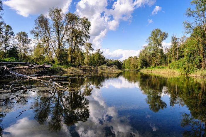 Al Parco delle Lame del Sesia un finanziamento regionale per la tutela ambientale