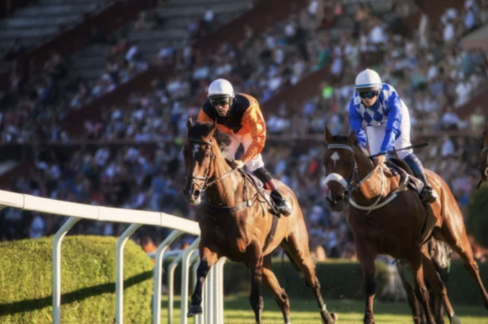 Quali sono i tipi di scommesse sulle corse di cavalli?