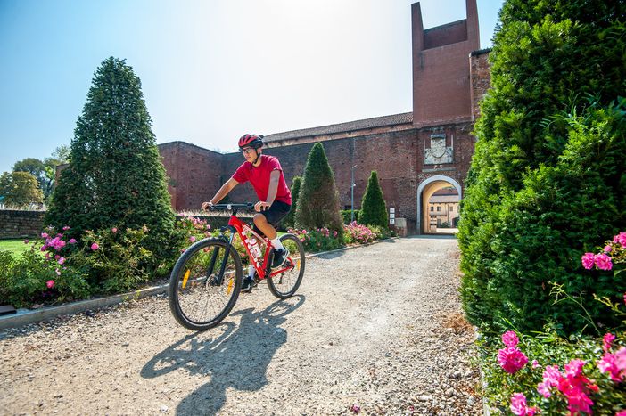 Il novarese punta sul turismo sostenibile presentando le nuove ciclovie Il novarese punta sul turismo sostenibile presentando le nuove ciclovie