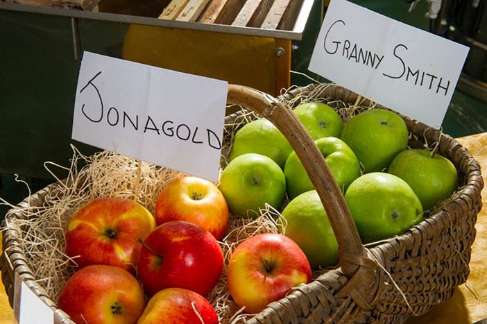 Confagricoltura Piemonte: &quot;Uno studio statunitense rivela che chi mangia mele diventa intelligente&quot;