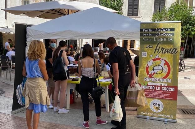 “Un milione di firme per abolire o limitare la caccia in Italia”