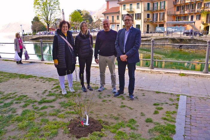 Borgomanero: piantumato un ibiscus come simbolo del legame tra i giovani italiani e quelli del Benin