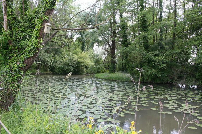 Fondazione comunità novarese contribuisce alla creazione di nuova area naturale a Borgolavezzaro Fondazione comunità novarese contribuisce alla creazione di nuova area naturale a Borgolavezzaro