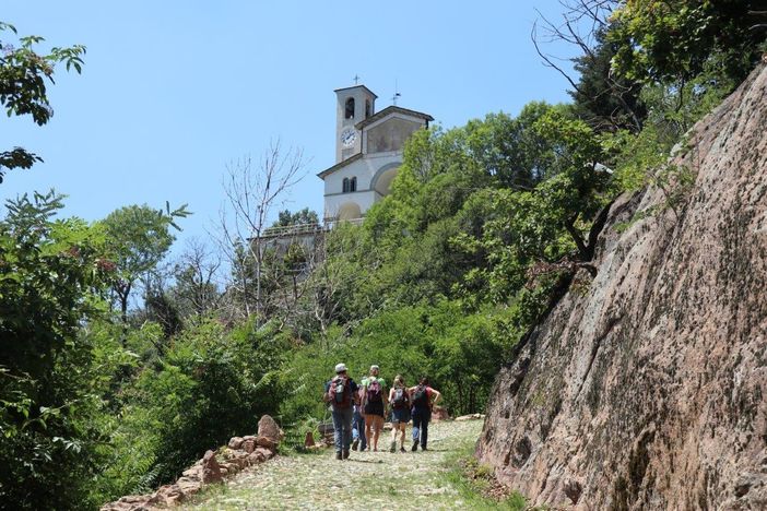Il Cammino di Oropa cresce ancora: collegherà tre Sacri Monti con itinerari pedonali e ciclabili Il Cammino di Oropa cresce ancora: collegherà tre Sacri Monti con itinerari pedonali e ciclabili
