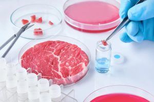 Carne artificiale, Coldiretti: "L'opposizione alla legge va contro la scienza e la salute dei citadini" Carne artificiale, Coldiretti: "L'opposizione alla legge va contro la scienza e la salute dei citadini"