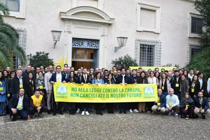 Coldiretti Piemonte: modificare la legge sulla canapa per salvaguardare una filiera da mezzo miliardo Coldiretti Piemonte: modificare la legge sulla canapa per salvaguardare una filiera da mezzo miliardo