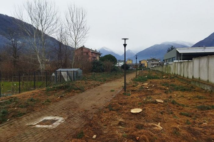 Due ruote, dalla Regione un bando da 40 milioni di euro per nuove piste ciclabili e ciclovie Due ruote, dalla Regione un bando da 40 milioni di euro per nuove piste ciclabili e ciclovie