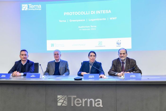 Terna: infrastrutture elettriche più sostenibili grazie all'intesa con Greenpeace, Legambiente e Wwf