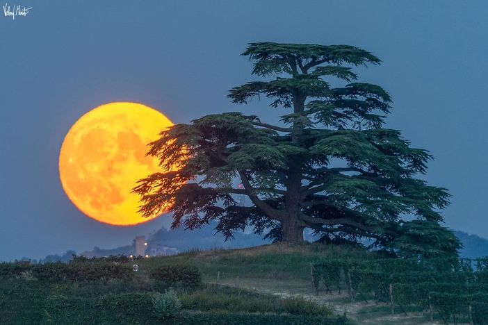 Foto: Valerio Minato