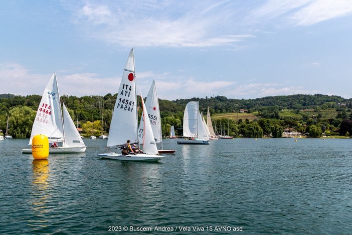 Tutto pronto per la nuova edizione di “Vela Viva 15” Tutto pronto per la nuova edizione di “Vela Viva 15”